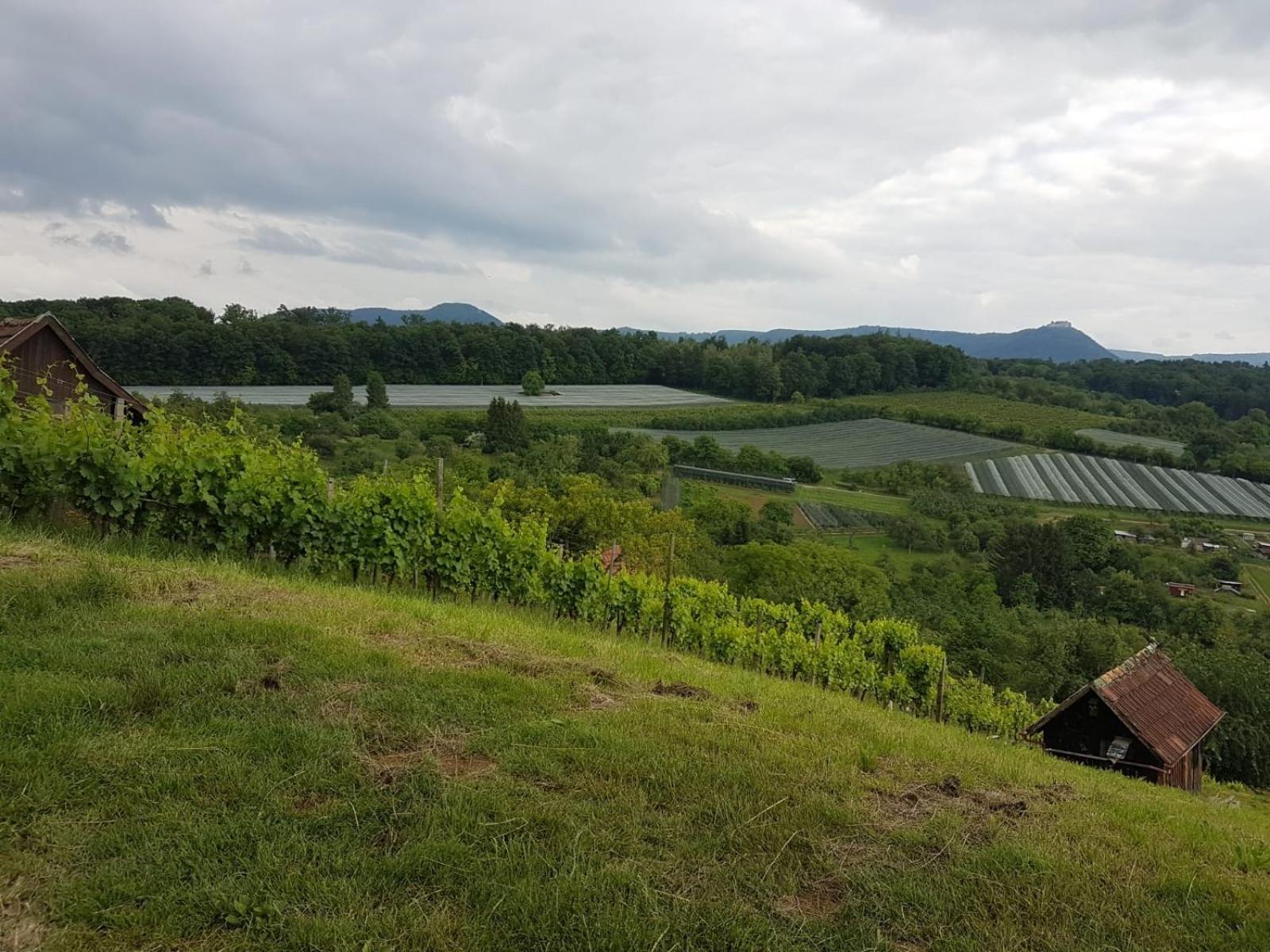 Ferienwohnung Burgblick Im Neuffener Tal Mit Sauna Und Wallbox Frickenhausen  Εξωτερικό φωτογραφία