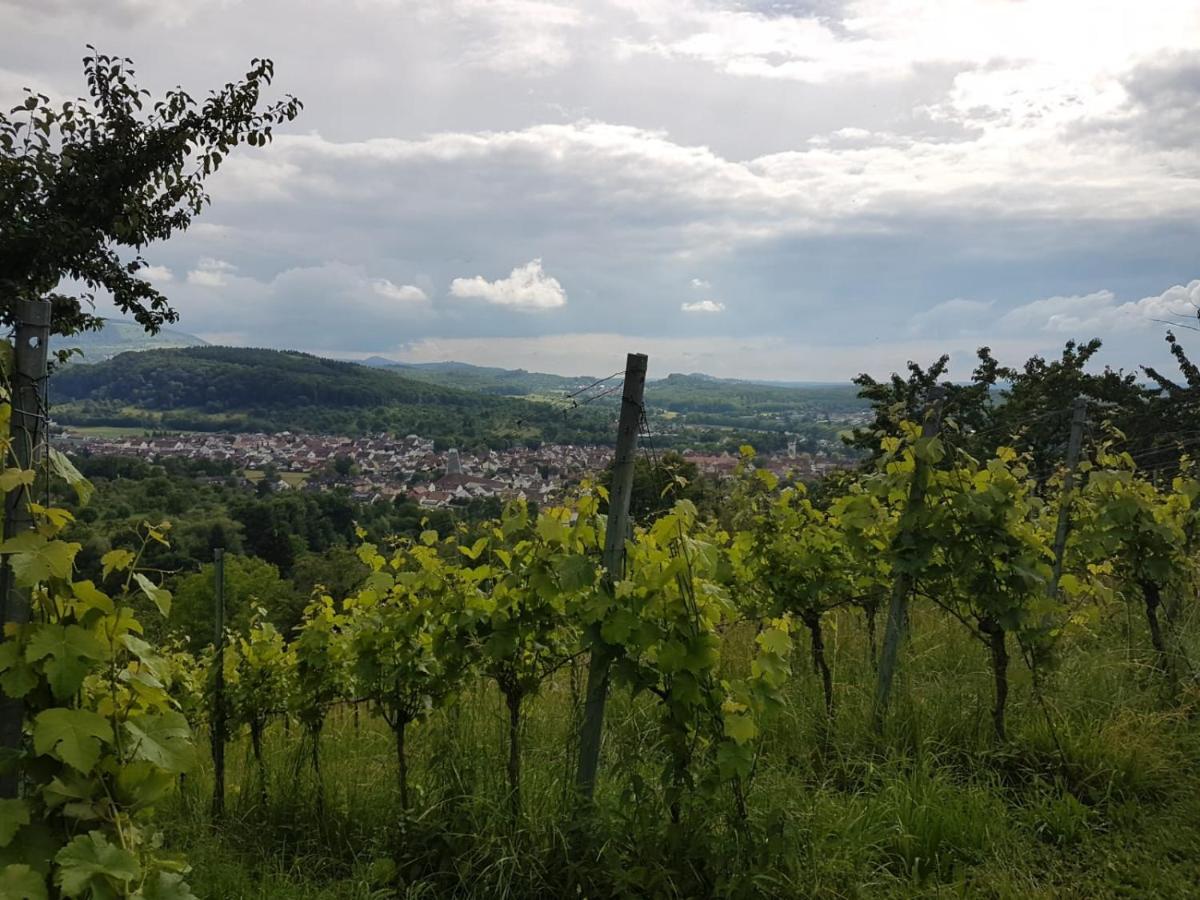 Ferienwohnung Burgblick Im Neuffener Tal Mit Sauna Und Wallbox Frickenhausen  Εξωτερικό φωτογραφία
